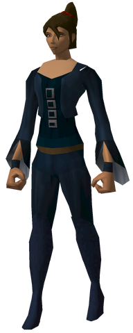 File:Brigand boss.png