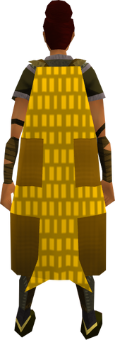 File:Team-13 cape equipped.png