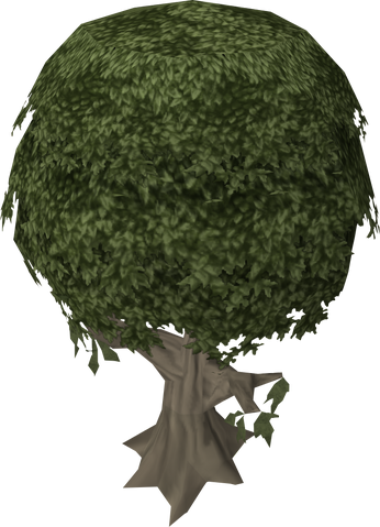 File:Mastic tree.png