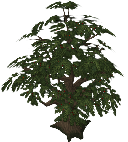 Plik:Yew tree.png
