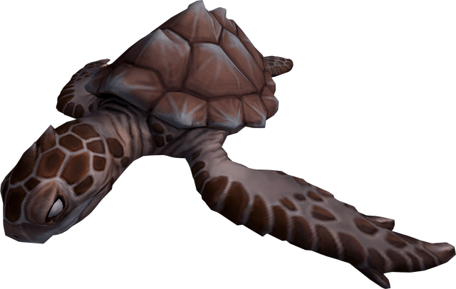 File:Burnt sea turtle detail.png