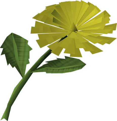 File:Dandelion detail.png