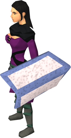 File:Training shield equipped.png