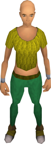 File:Pegged shoes (female).png