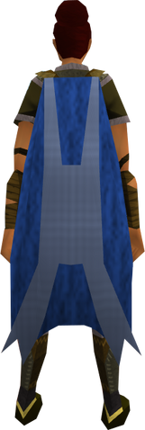 File:Team-22 cape equipped.png
