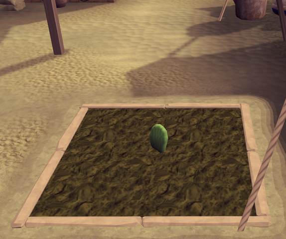 File:Prickly pear1.png