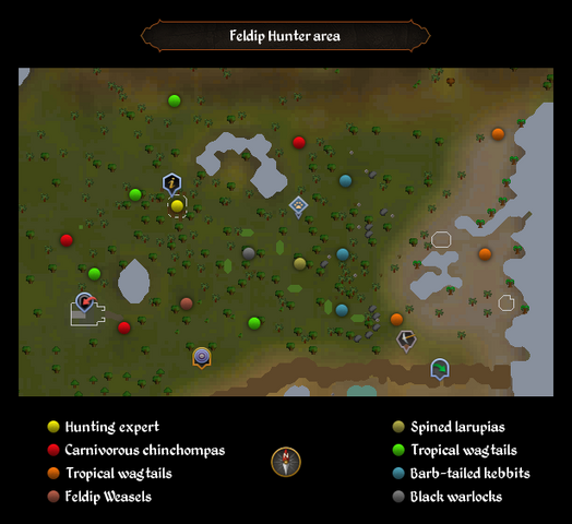 File:Feldip Hunter area map.png