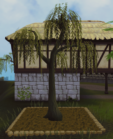 File:Willow5.png