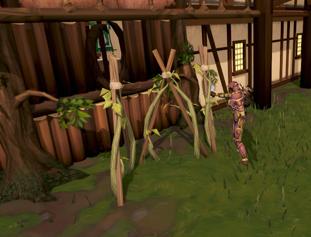 File:Curing Burthorpe vines.png