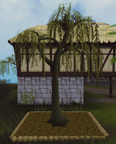 File:Willow6.png