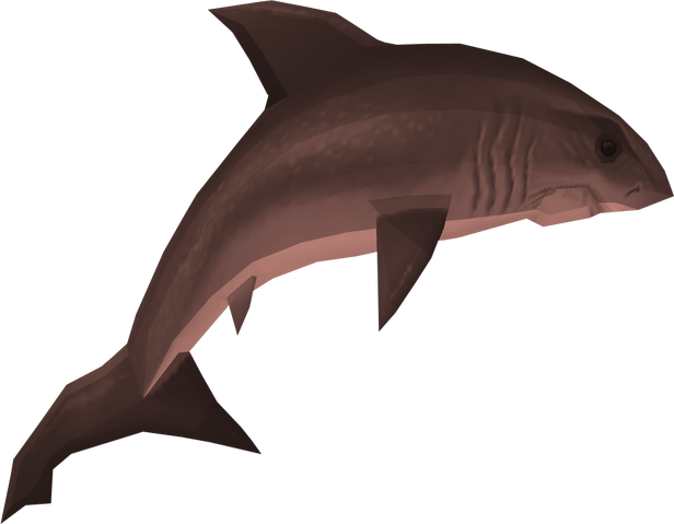 File:Great white shark detail.png