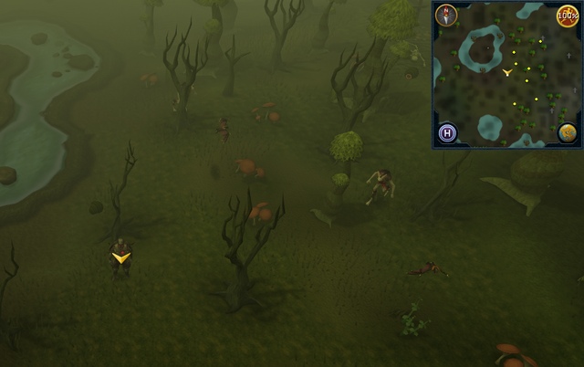 File:Scan clue Haunted Woods south-east of lake containing island.png