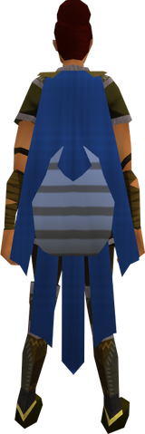 File:Team-27 cape equipped.png