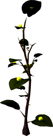 File:Exuberry bush.png