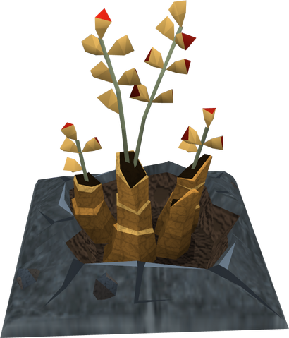 File:Duskweed plant detail.png