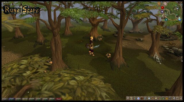 File:RuneScape site media 18.jpg