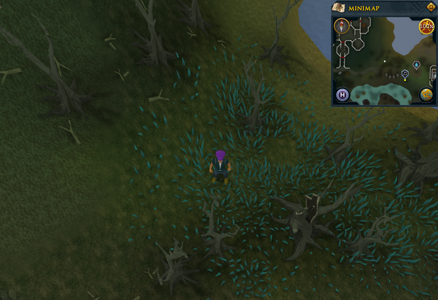 File:Compass clue Port Phasmatys north-west of musician.png