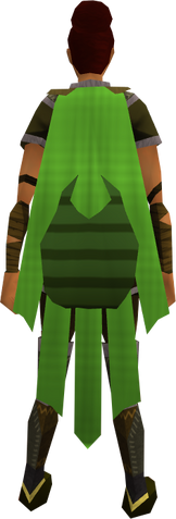 File:Team-37 cape equipped.png