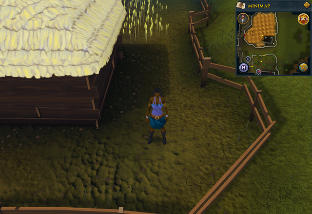 File:Compass clue Draynor south-east corner of wheat field.png