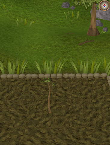 File:Spirit tree2.png