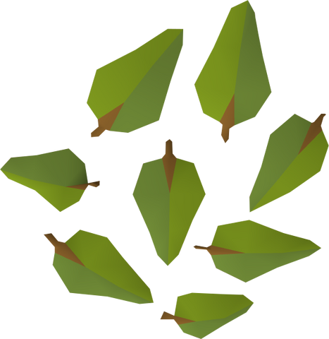 File:Leaves (yew) detail.png