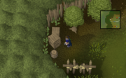 RunescapeWest.png