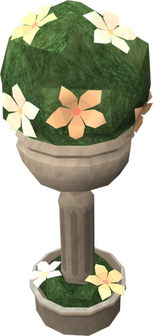 File:Spherical evergreen.png