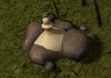 Ancient relic buried