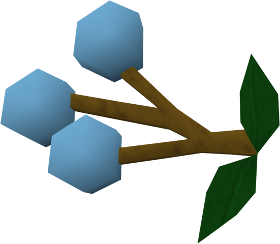 File:Grapes of Saradomin detail.png