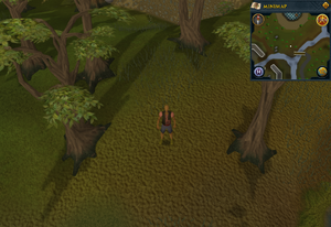Making History chest location