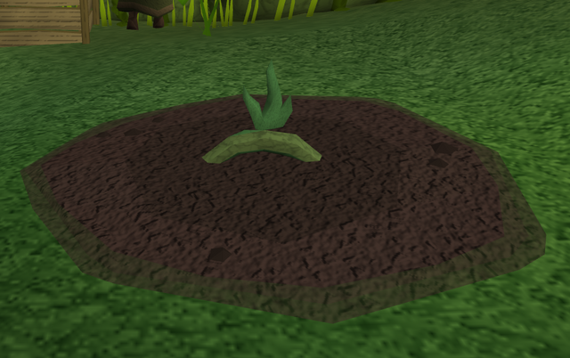 File:Vine herbs2.png
