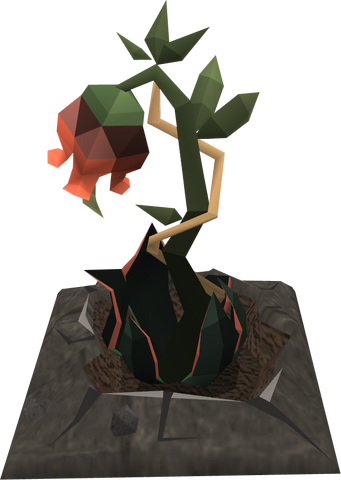 File:Rosebloodplant.png