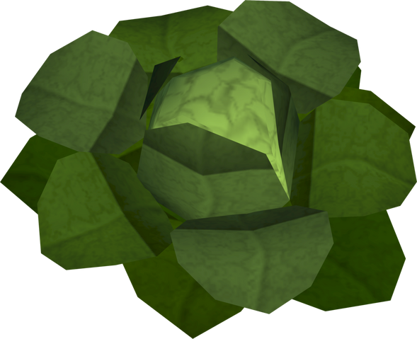 File:Pickled cabbage detail.png