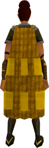 File:Team-14 cape equipped.png