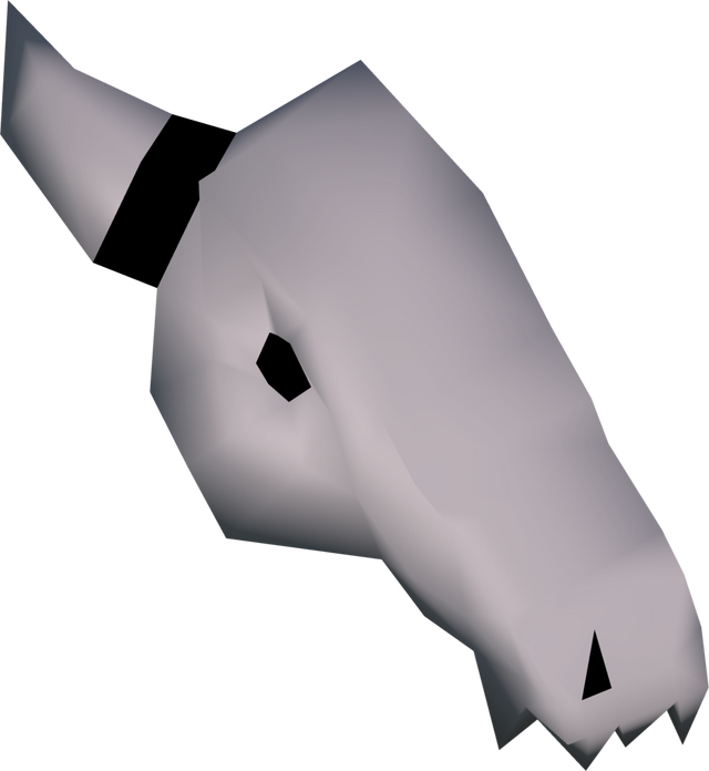 File:Left skull half detail.png