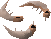 Fil:Raw shrimps detail.png