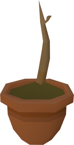 File:Curry sapling detail.png