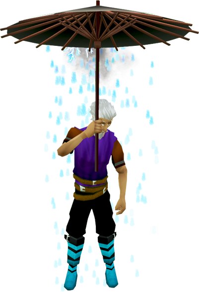 File:Bad weather umbrella equipped.png