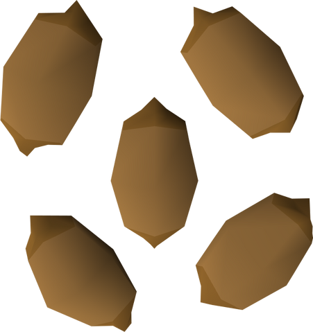 File:Calquat tree seed detail.png