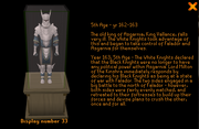 Display 33