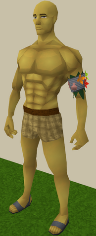 File:Armadyl yellow skin equipped.png
