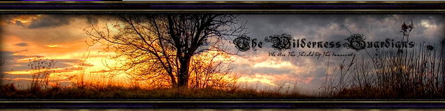 File:Wgbanner.png