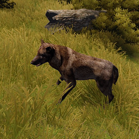 Fichier:Loup.png