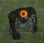 Female Gorilla