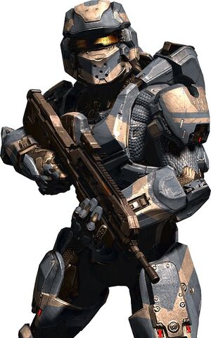 File:CT's New Look.jpg