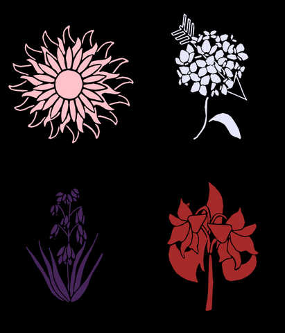 File:APLS.png