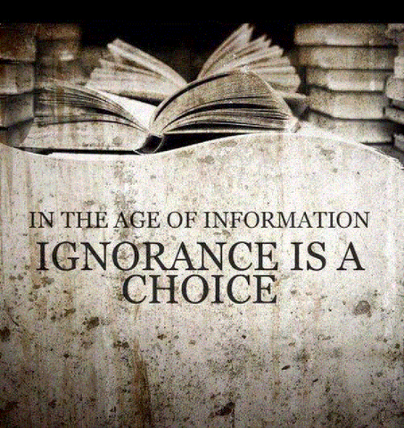 File:Age of Information.png