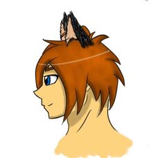 Wolfe Black Head 2