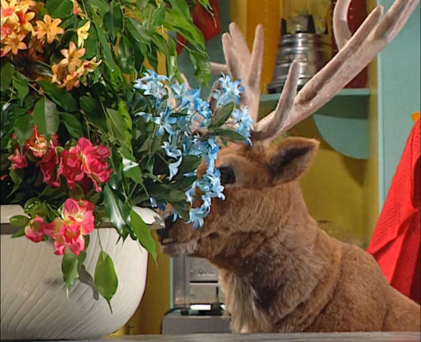 File:Deer.png