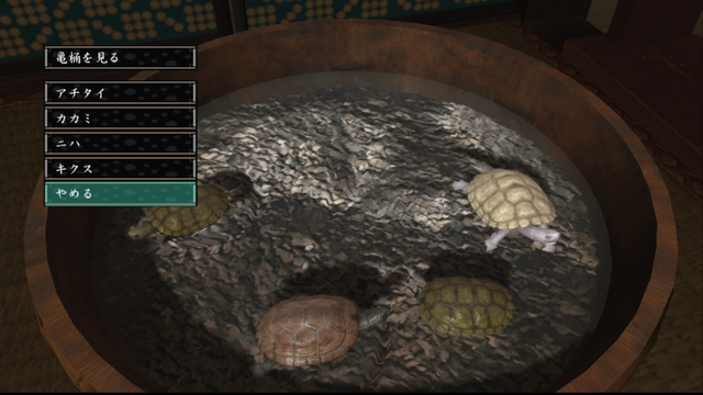 File:Turtle tub - zoo.png